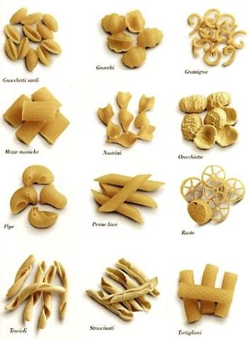 shell pasta types